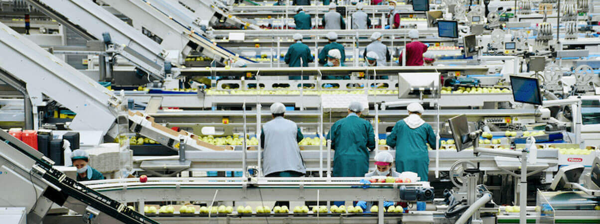 Several workers in a factory environment, focused on their tasks and contributing to the production process.